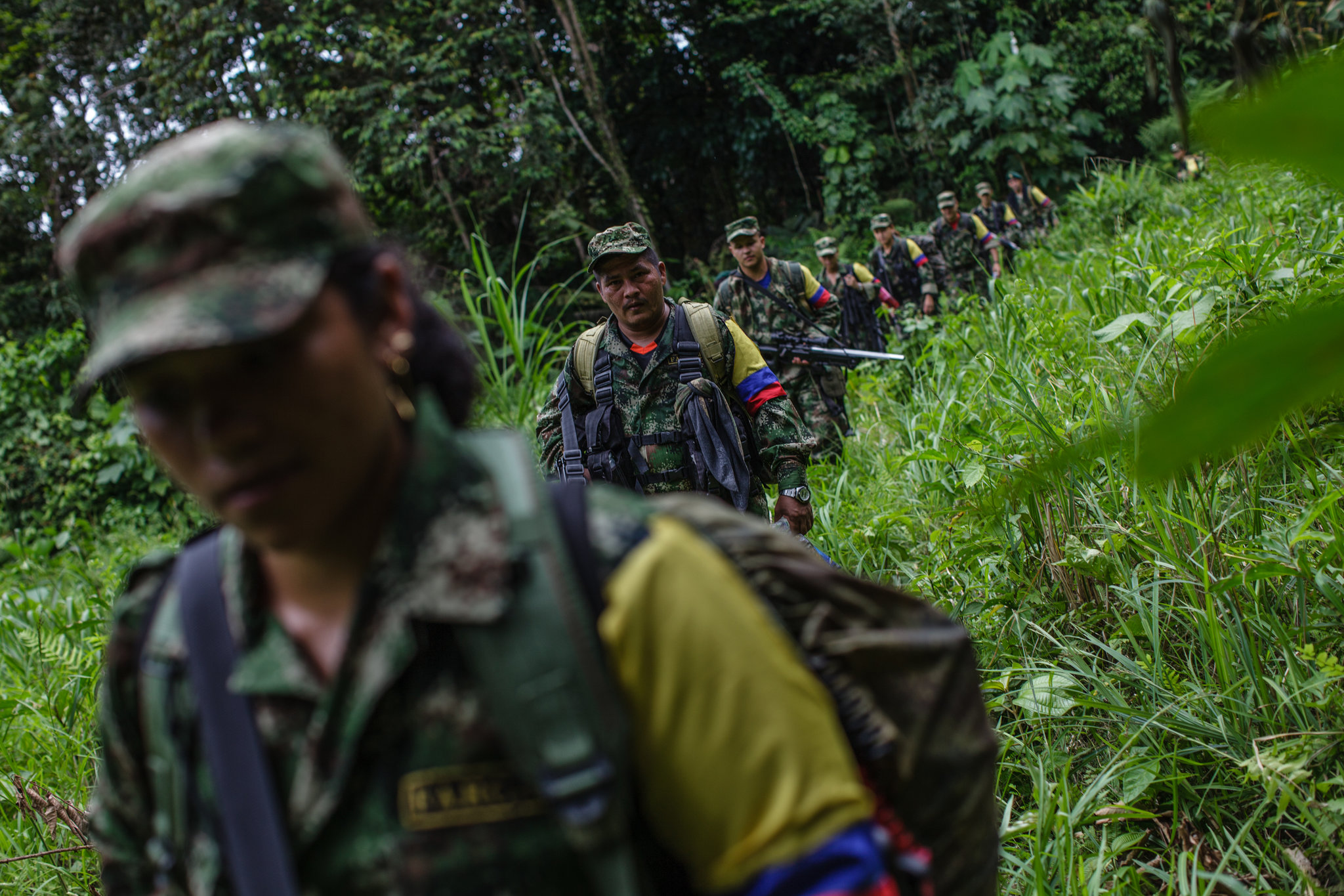 Una alianza armada se gesta en las selvas de Colombia y Venezuela