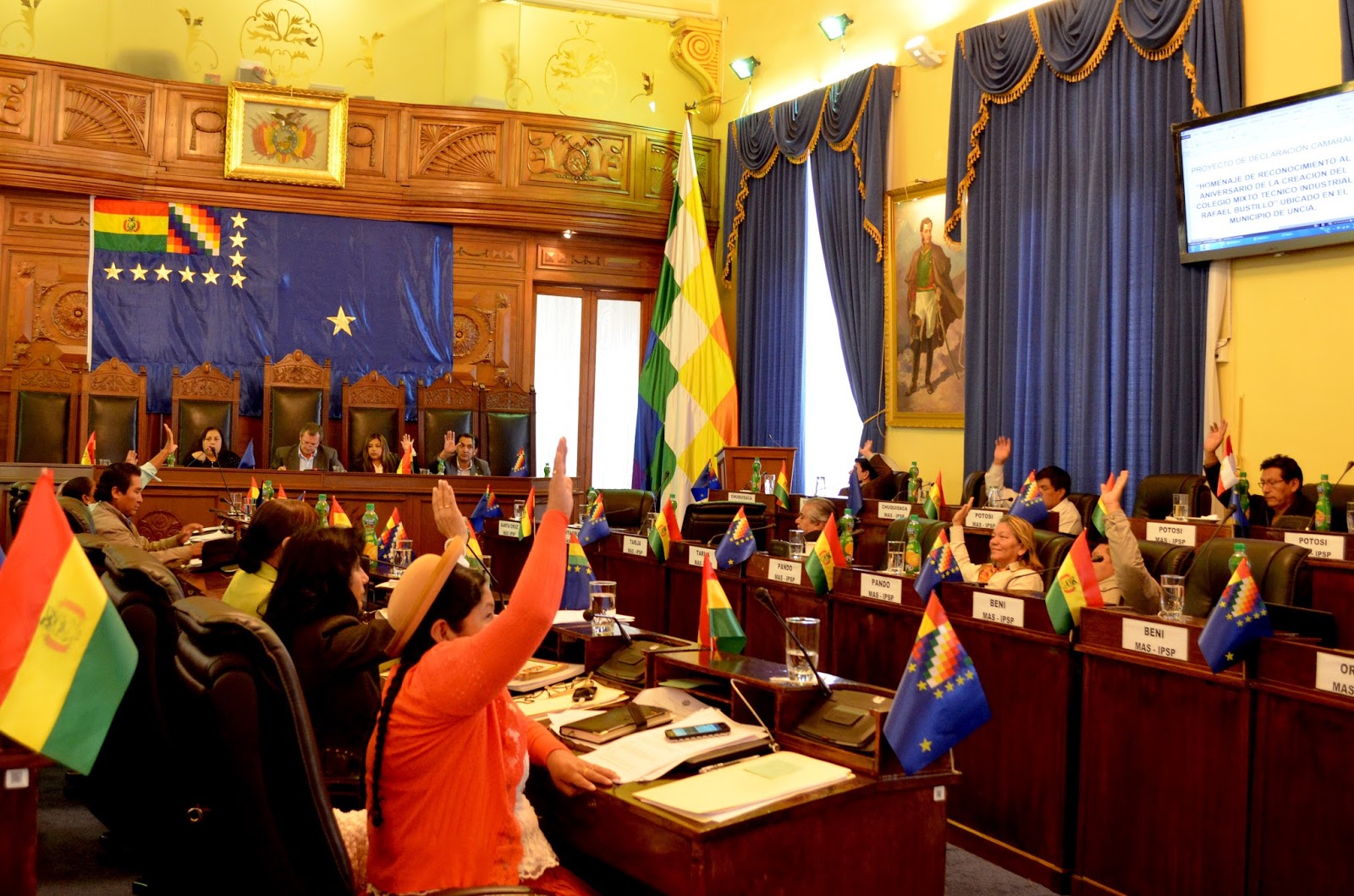 Crisis política en Bolivia: Renunciaron siete senadores del partido de Evo Morales