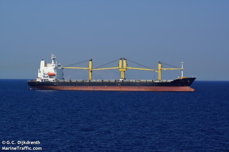 Un buque con alimentos profundiza influencia militar y comercial de Teherán en Caracas