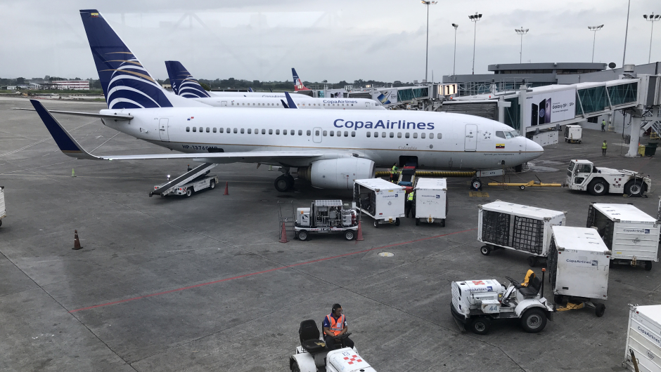 Sancionan a aerolínea panameña por transportar ilegalmente a venezolanos