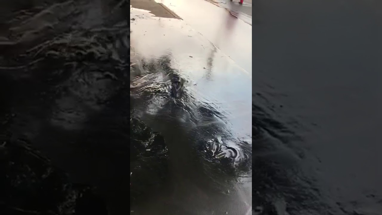 Derrame de crudo se extiende por las calles de una ciudad petrolera en Venezuela