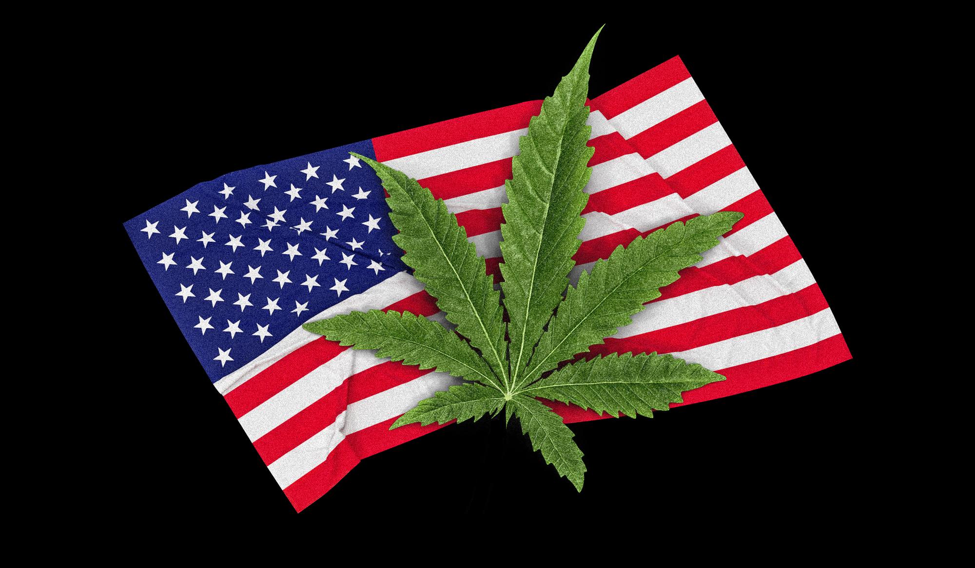 ¿Qué significa el voto de la Cámara de Representantes por la legalización de la marihuana en EEUU?