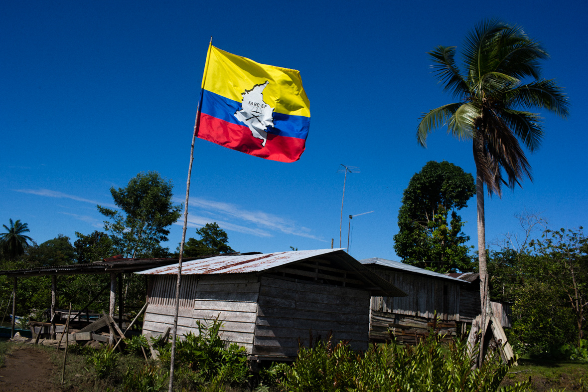 Más guerrilleros de las FARC juran su apoyo a Nicolás Maduro (VIDEO)
