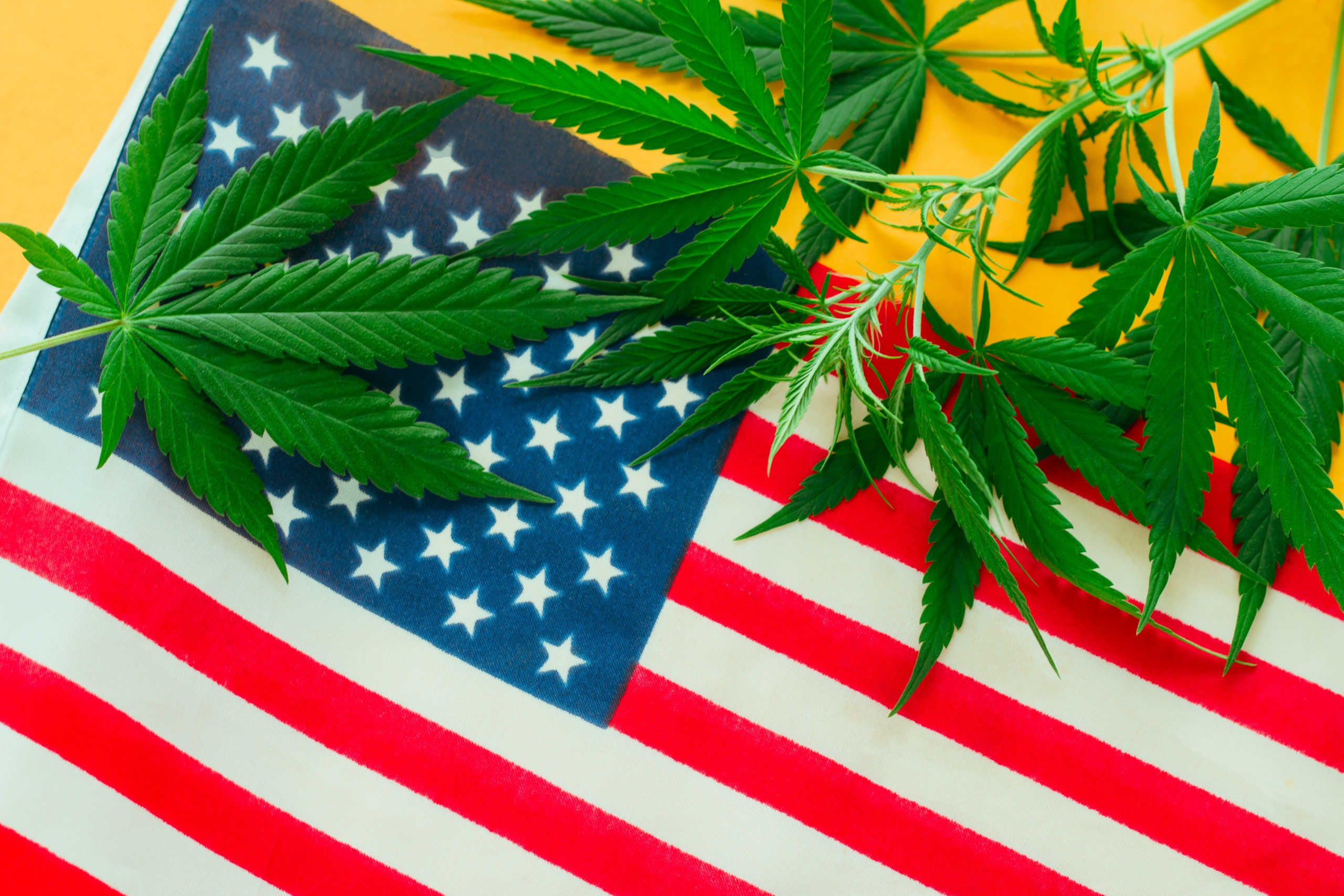 Biden da los primeros pasos para la legalización federal de la marihuana en EEUU