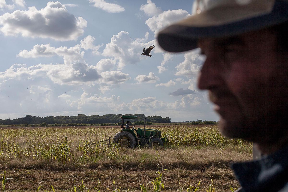 Agricultores venezolanos proponen resolver escasez de combustible por su cuenta