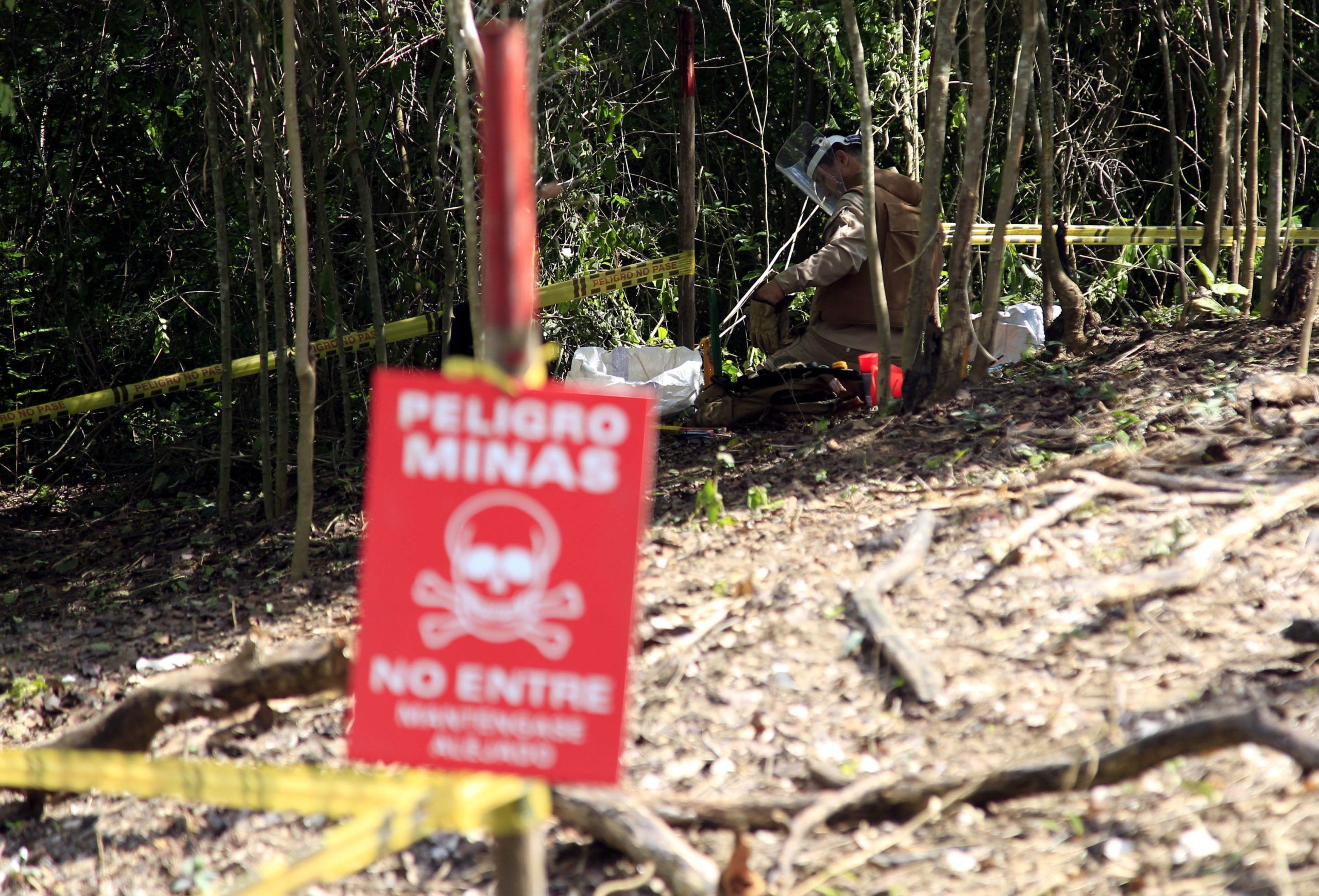 Maduro quiere que la ONU desarme las minas antipersonas de las FARC en Venezuela