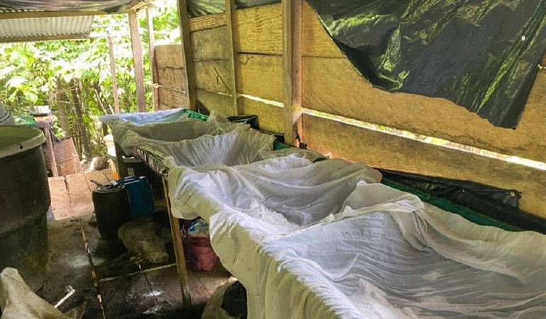 Desmantelan laboratorios del ELN en la frontera que mandaban cocaína a Venezuela