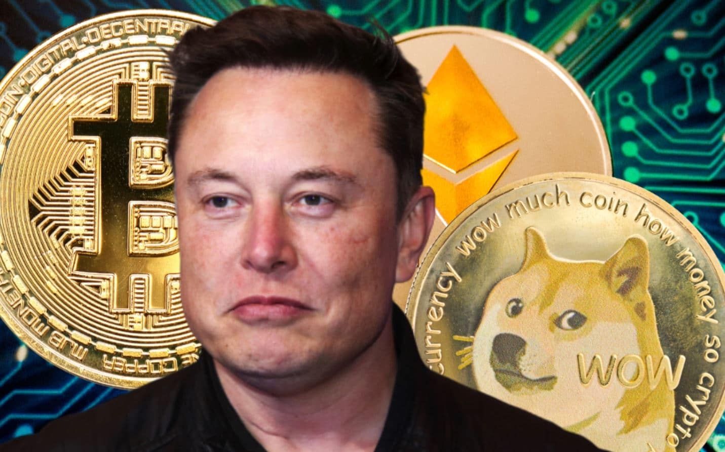 Elon Musk revela su portafolio de criptomonedas