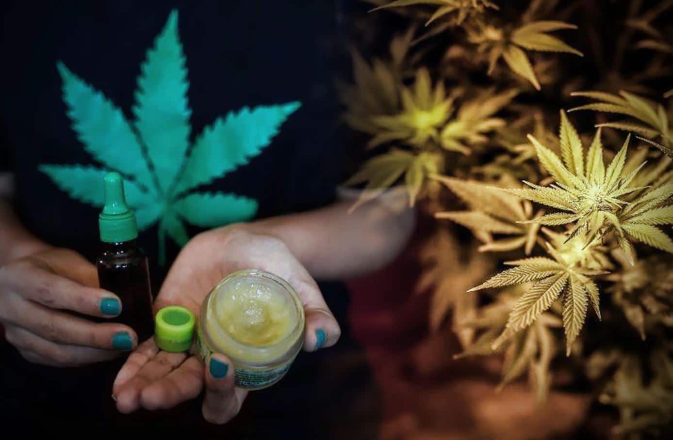 Perú legaliza el cultivo de cannabis medicinal