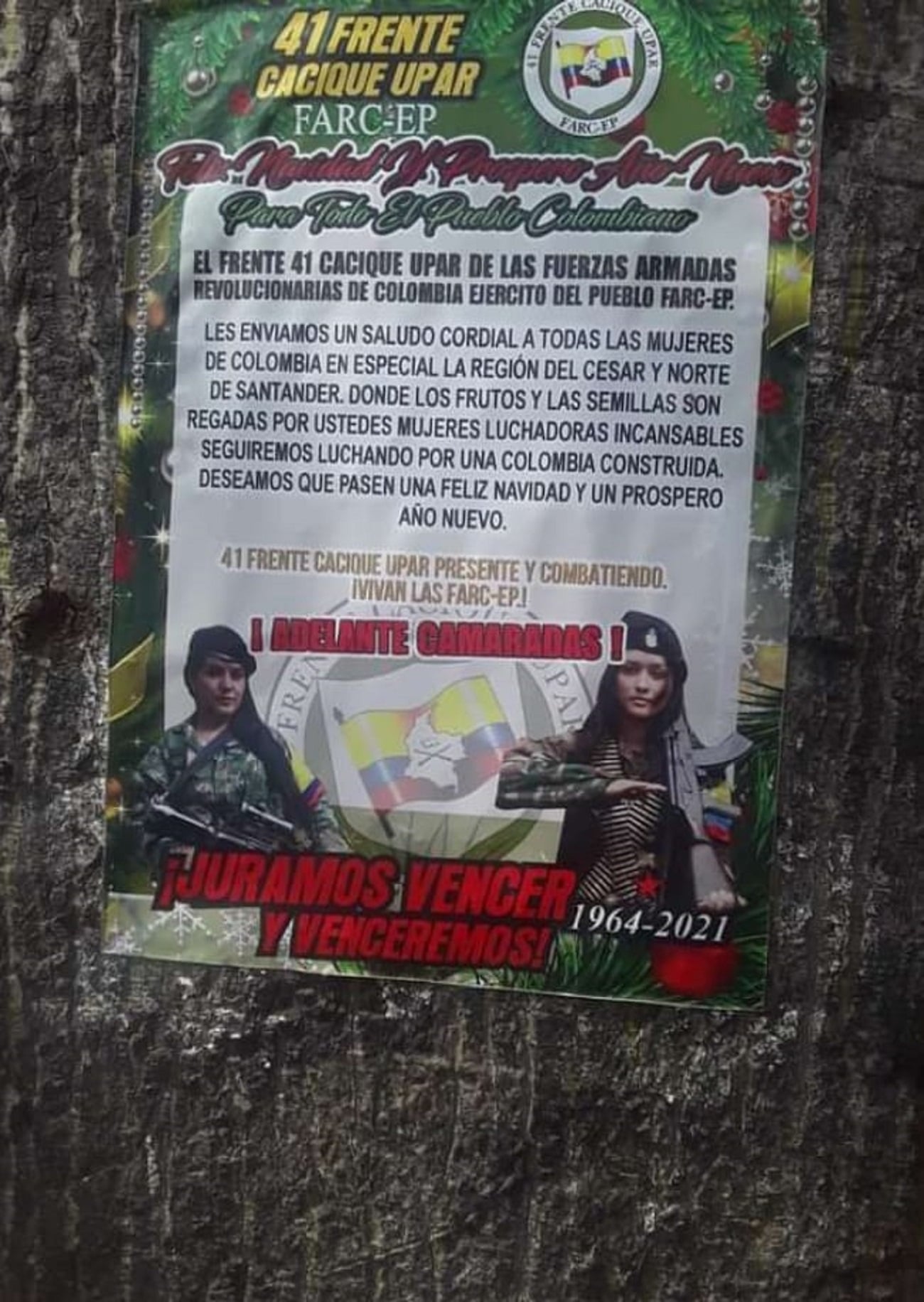 Disidencias de las FARC se multiplican en región más cocalera del mundo