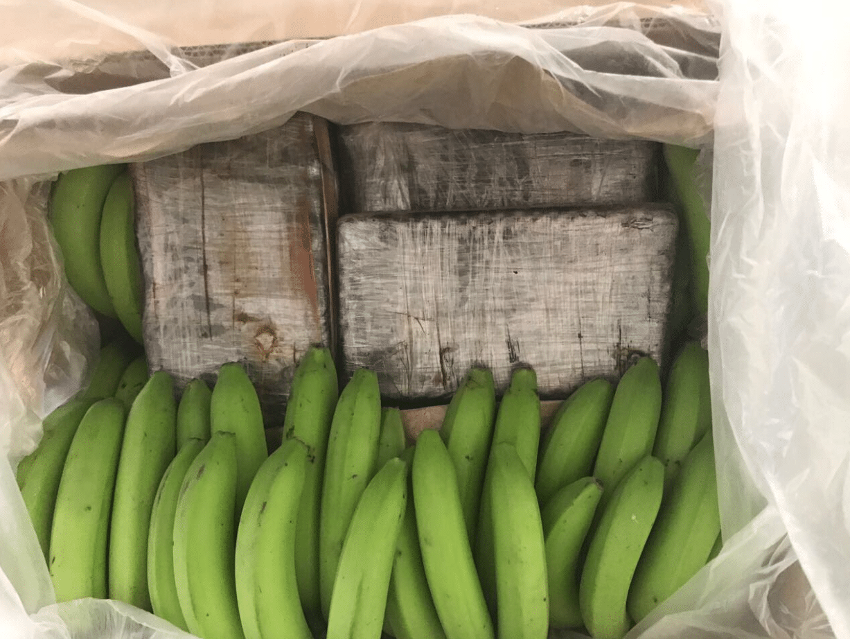 Cajas de bananas son el escondite perfecto para la cocaína que llega a Europa y EEUU desde Ecuador