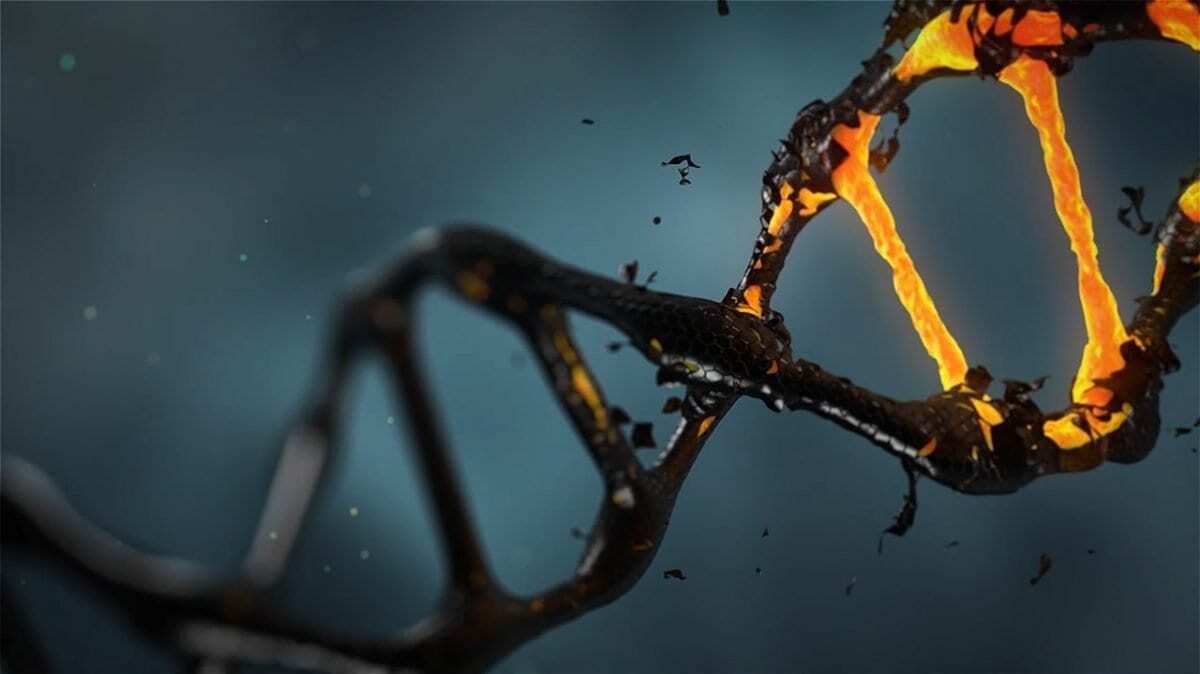 El más reciente estudio sobre el ADN revela un nuevo giro en la historia del origen humano