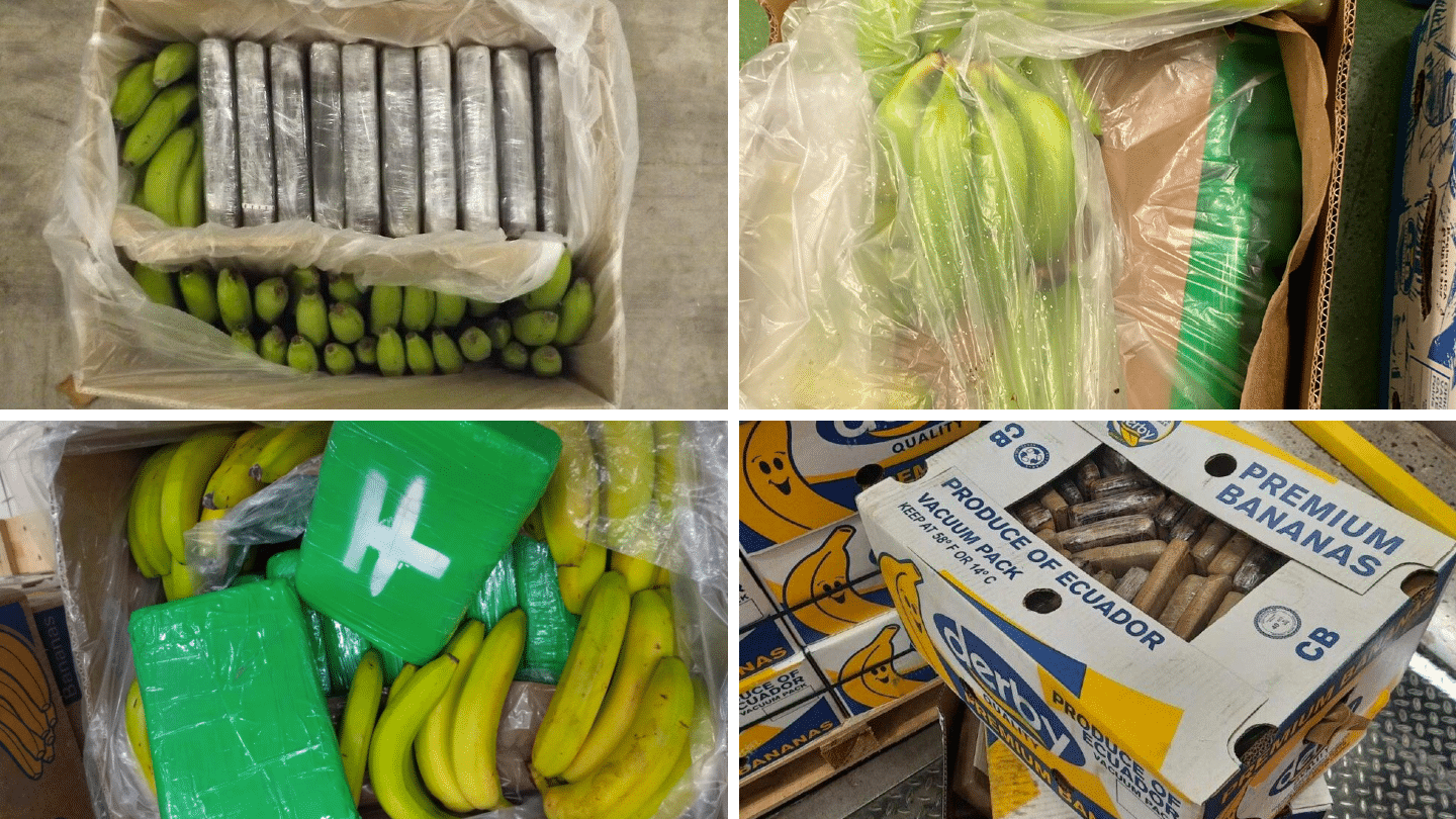 Por qué la industria bananera de Ecuador se convirtió en una clave para el narcotráfico internacional