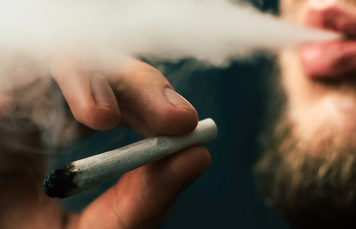 INFORME: Salen a la luz riesgos cardíacos para los fumadores habituales de cannabis
